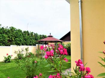 p1100098-2.jpg